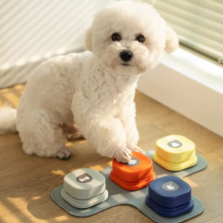 Interactive Dog Communication Button